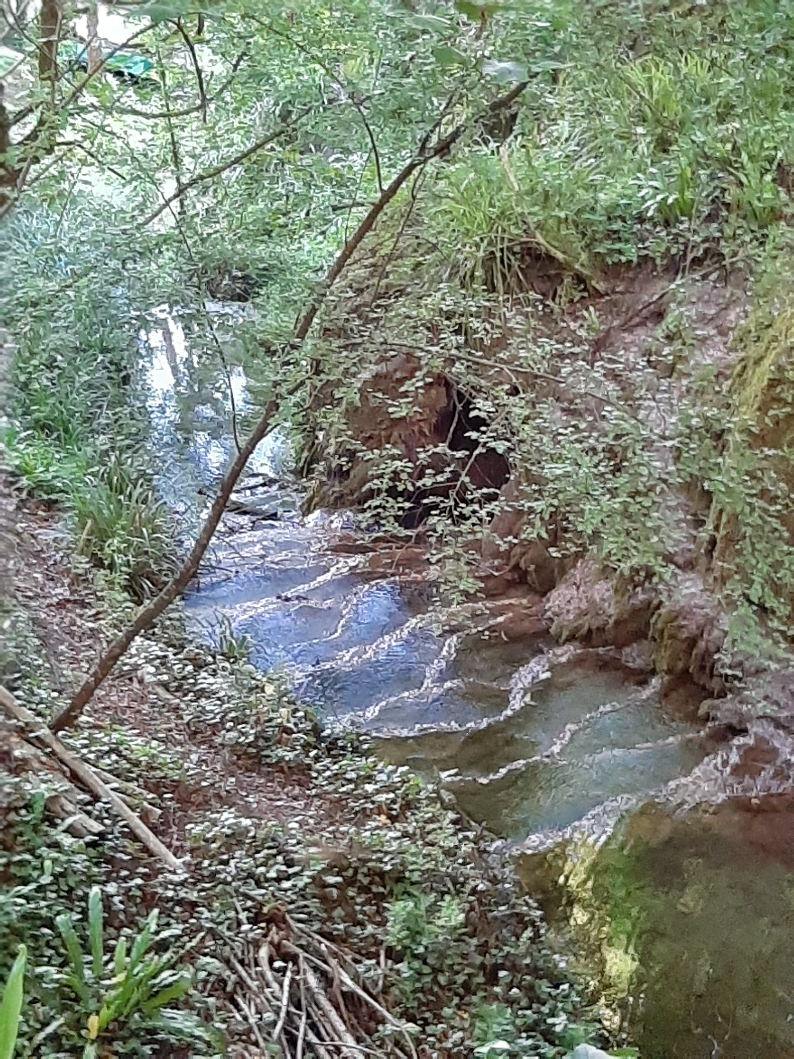 La Cascade De Hauterive-官方