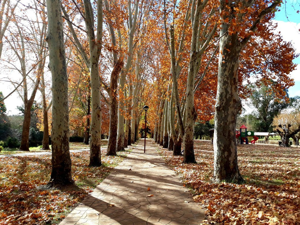 Neilson Park景点图片