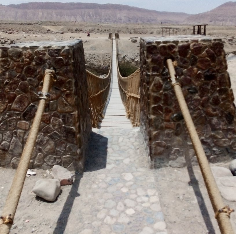 Miculla Petroglyphs-塔克纳必去景点