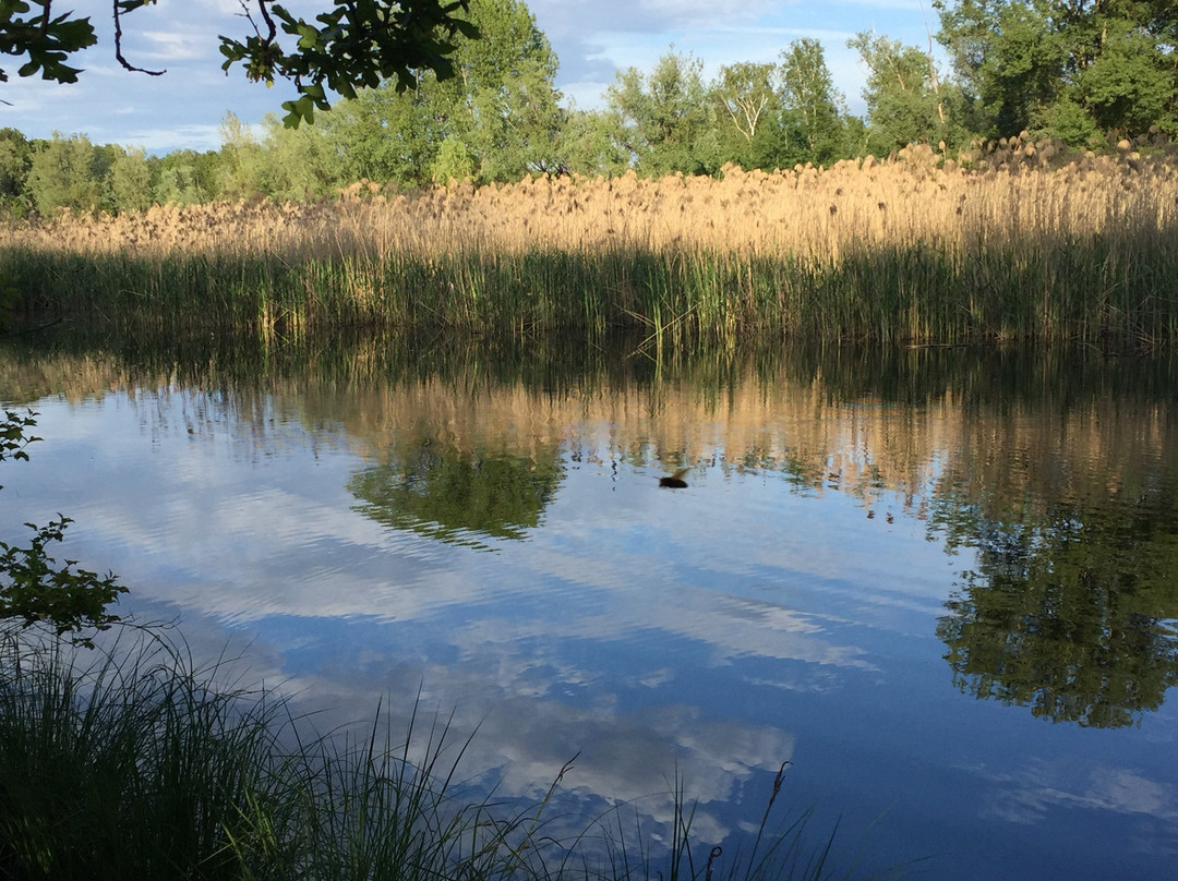 Oasi della Bruschera-Angera必去景点