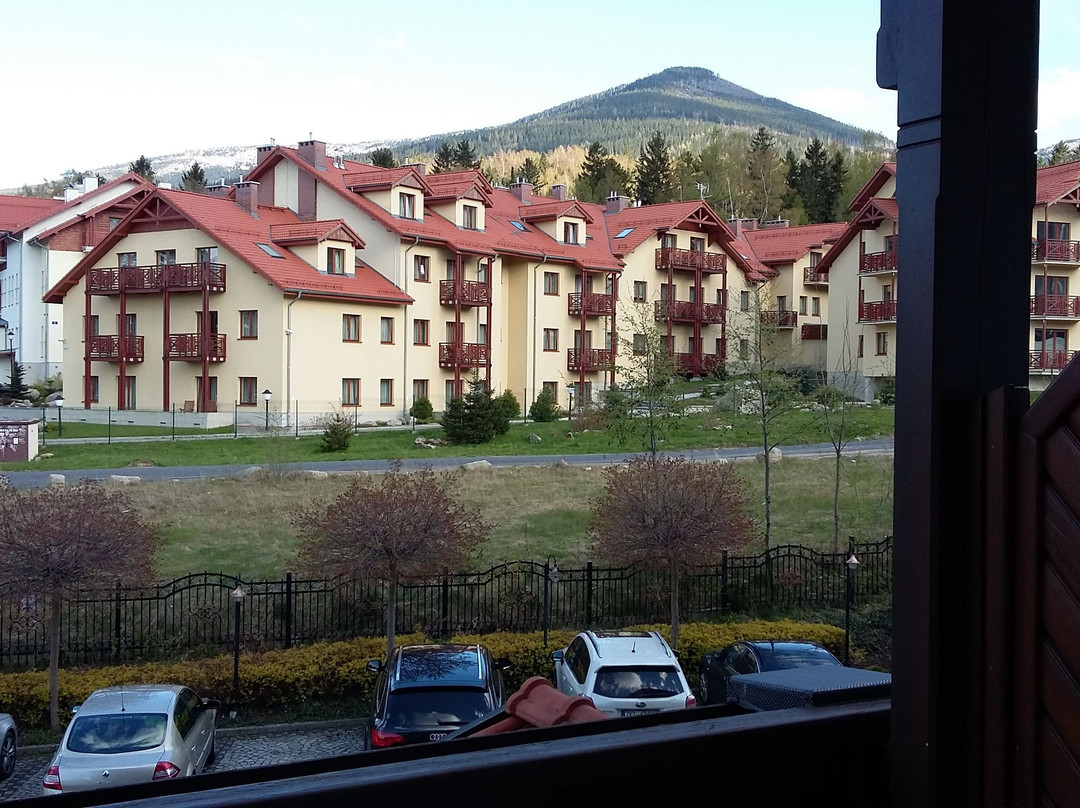 Alpejski Hotel主图