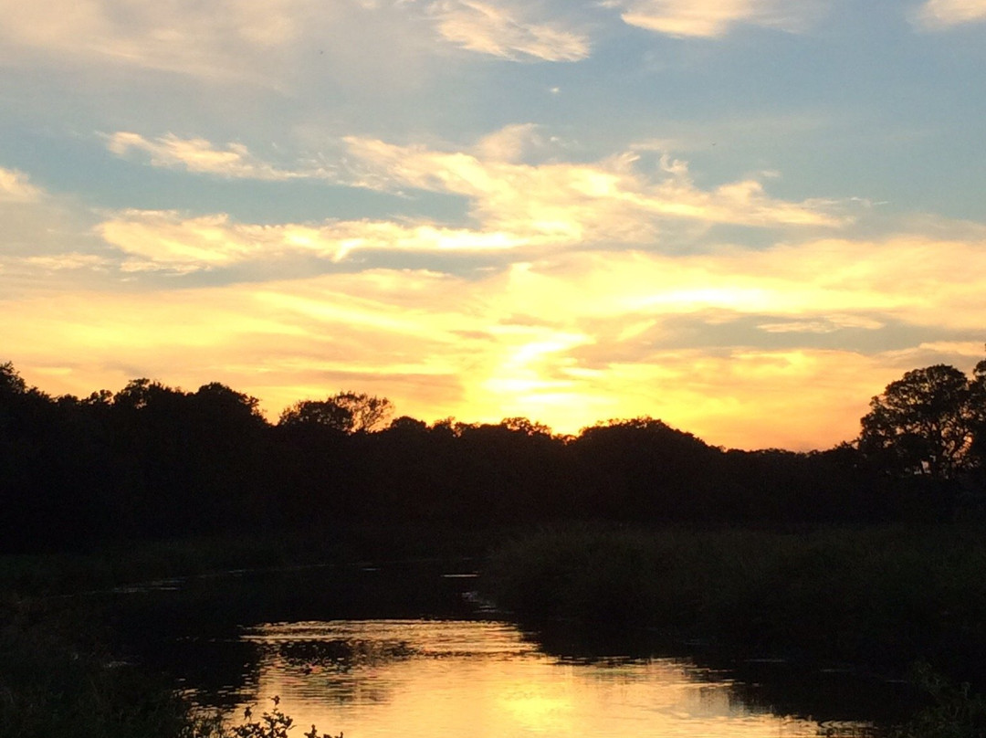 Jones Creek旅游攻略图片