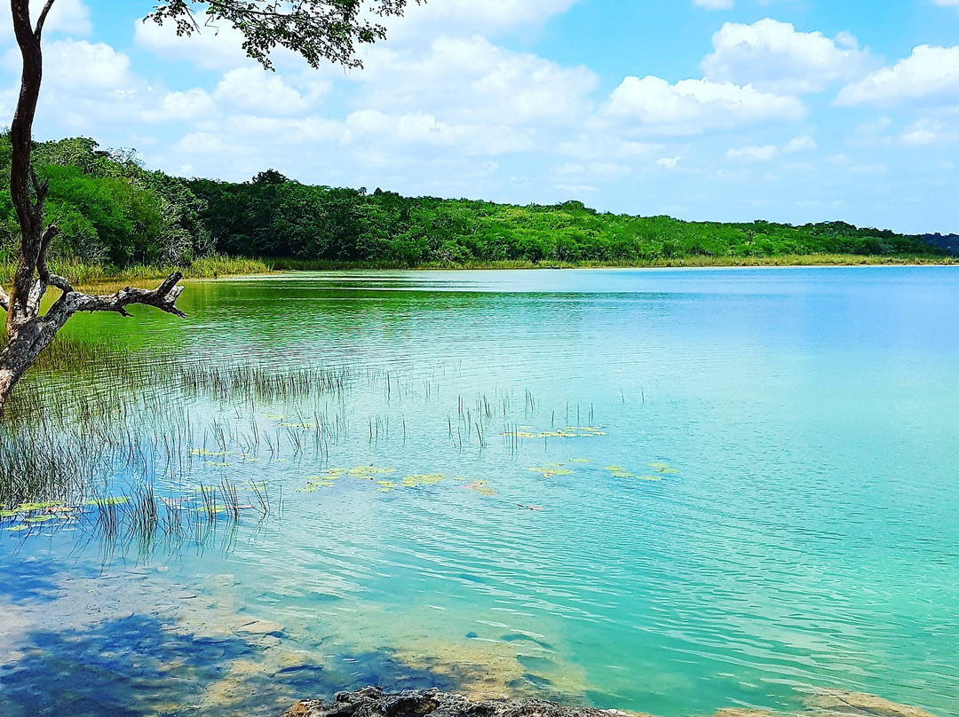 Punta Laguna Nature Reserve景点图片