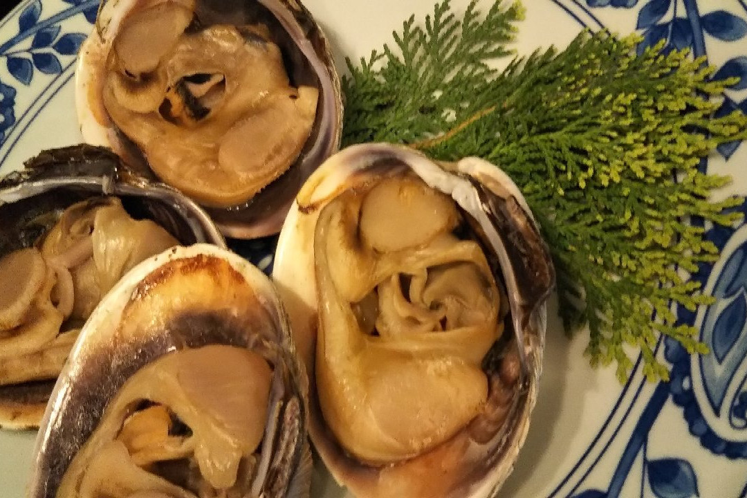 Himaka Kanko Hotel主图