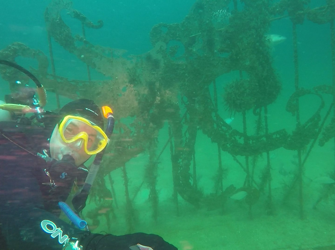 The Underwater Museum Of Art景点图片