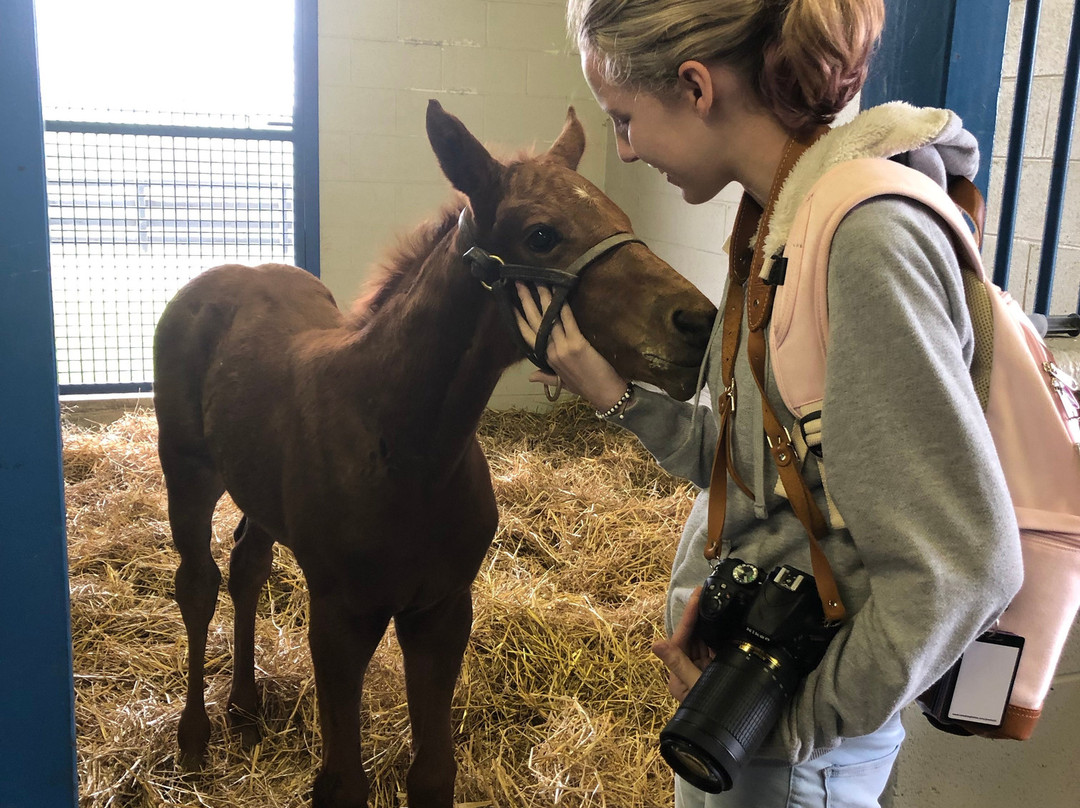 Sun Valley Farm-Versailles必去景点