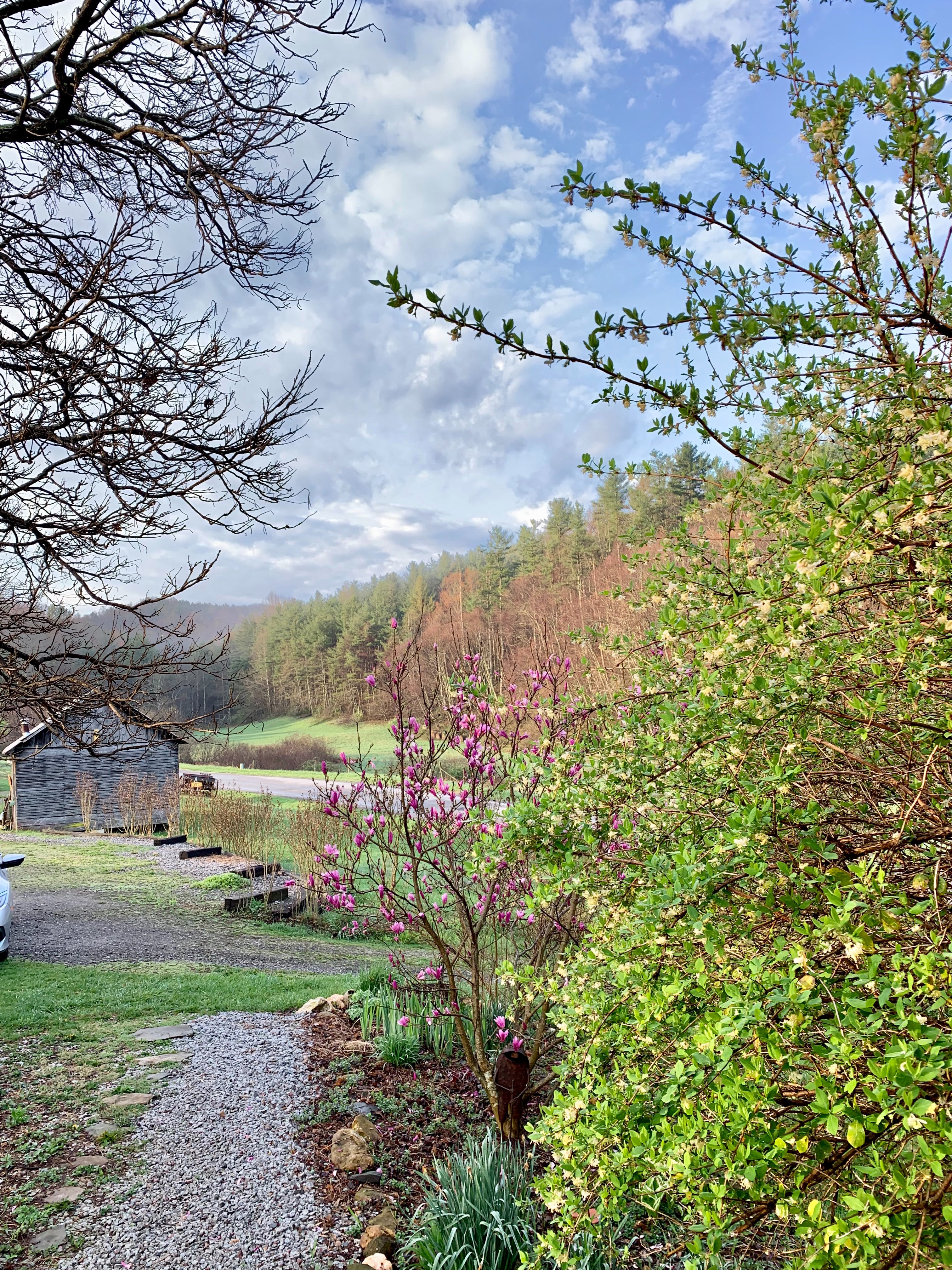 Ambrosia Farm-官方