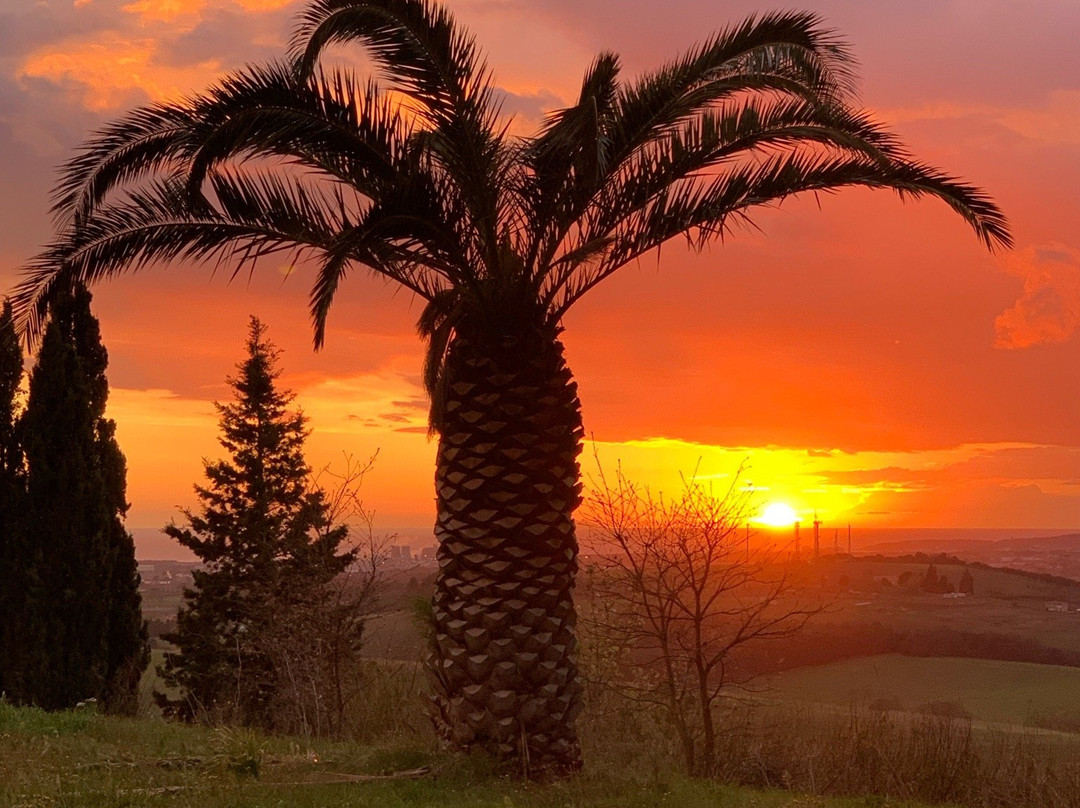 Agriturismo le Tassinaie主图