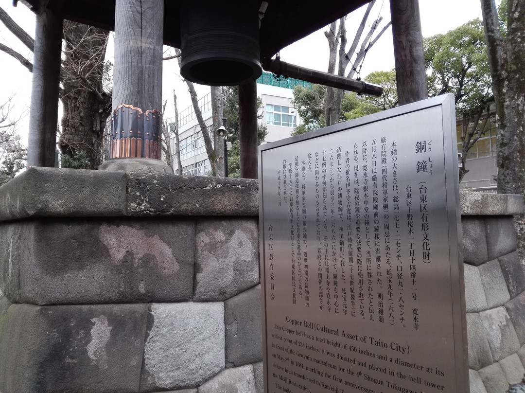Kanei-ji Temple Kompon Chudo景点图片