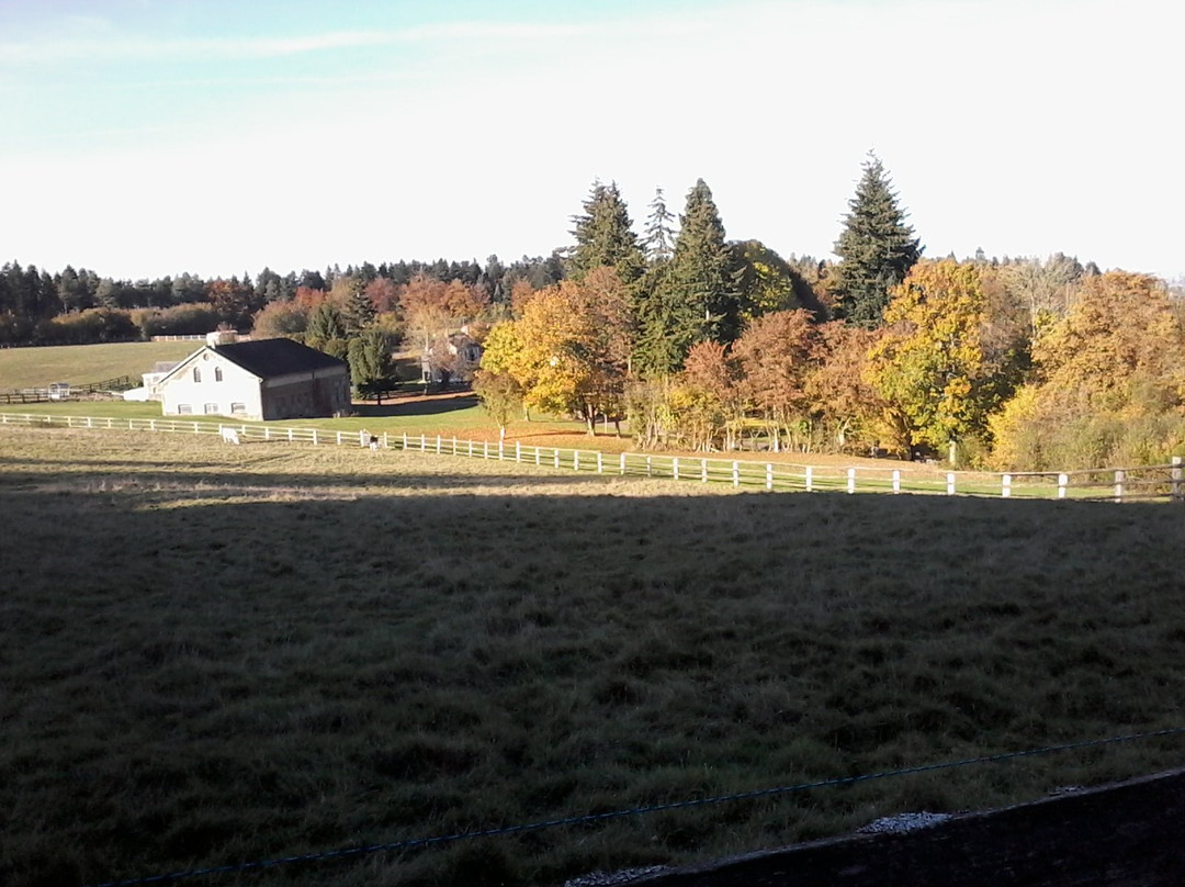 玻璃器皿的加斯特酒店主图