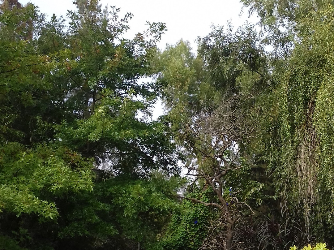 Fraternidad Santa Maria del Encuentro-蒂格雷必去景点