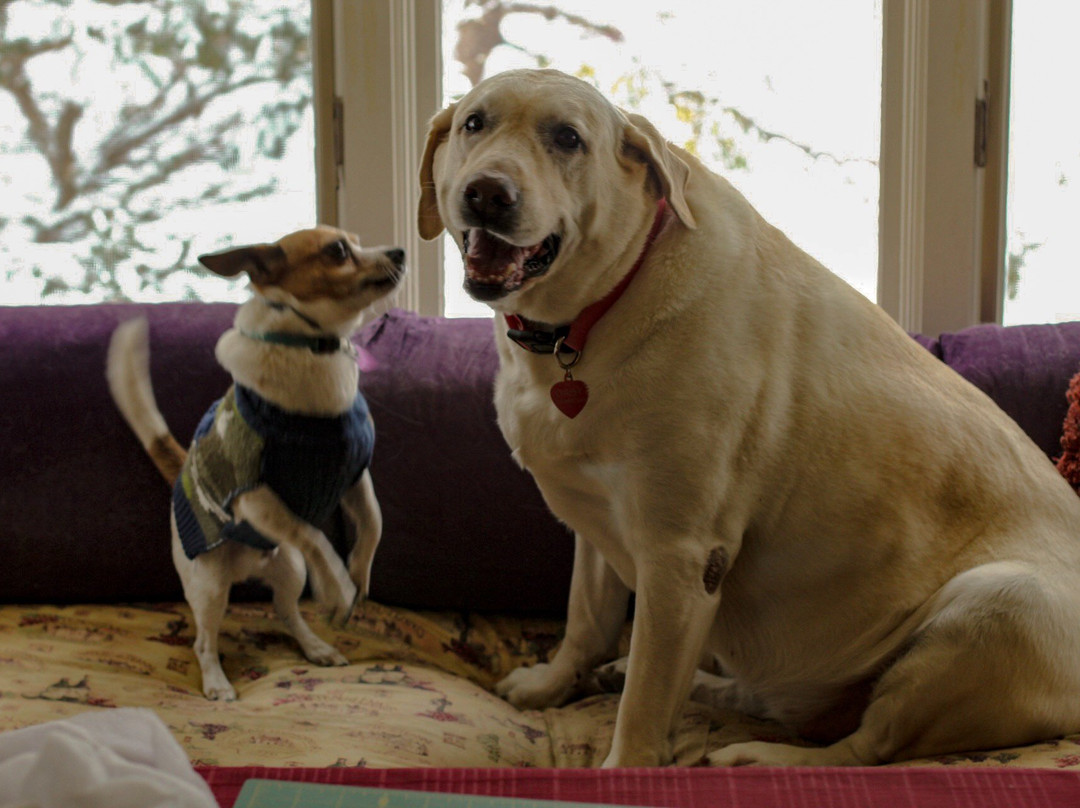 The Admiral Peary Inn Bed & Breakfast主图