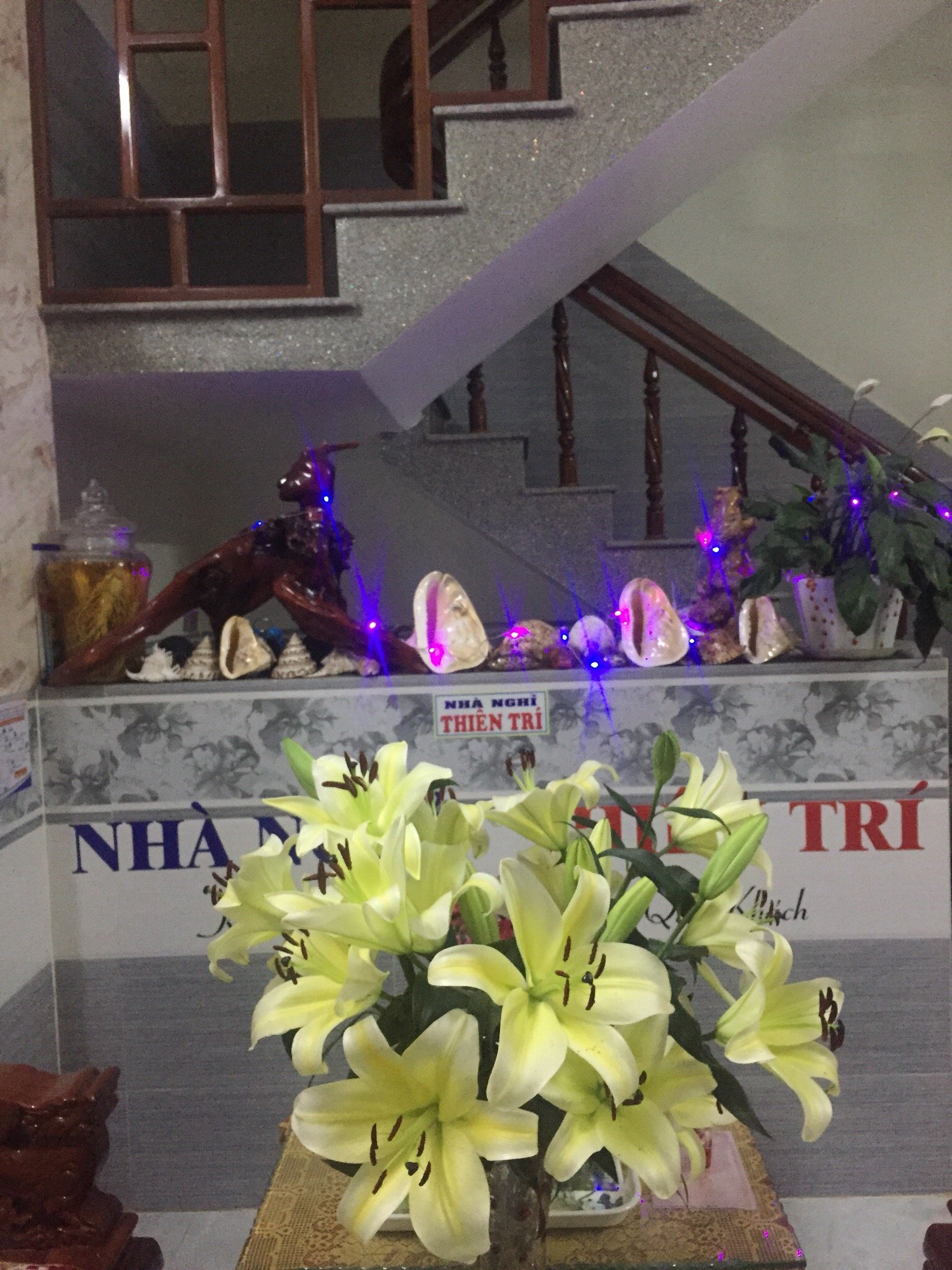 Nha Nghi Thien Tri-官方