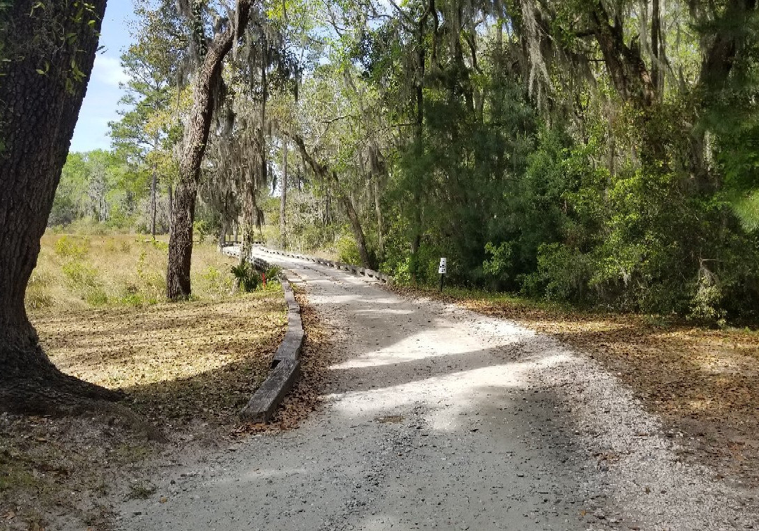 Sapelo Hammock Golf Club-Shellman Bluff必去景点