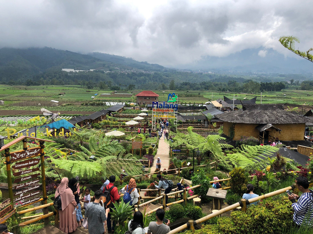 Pujon Kidul Tourism Village景点图片