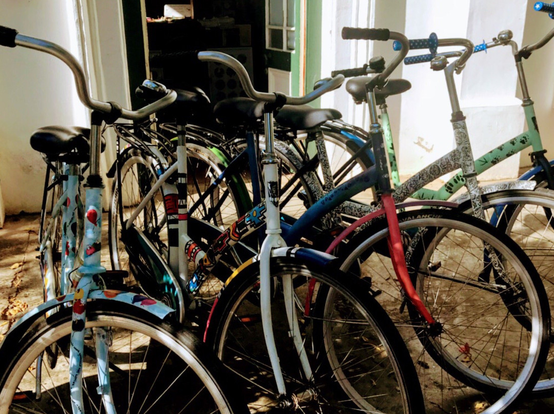 Montagu Village Market-蒙提古必去景点