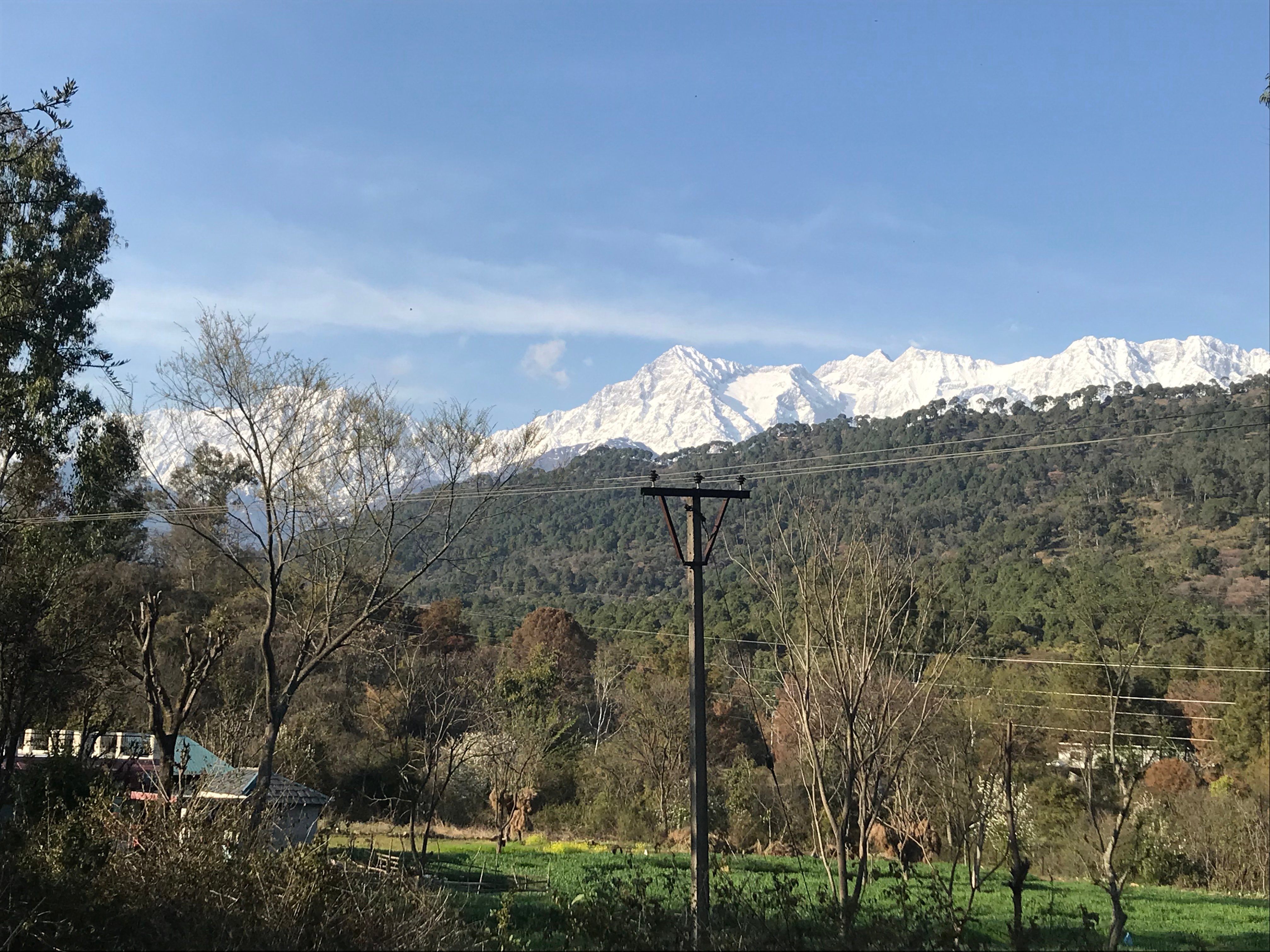 Darang Tea Estate-酒店景观