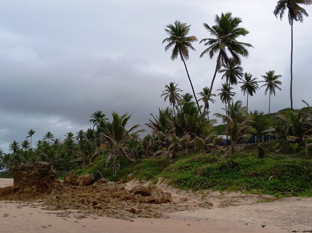 Ponta do Coqueiro Beach-Pitimbu必去景点