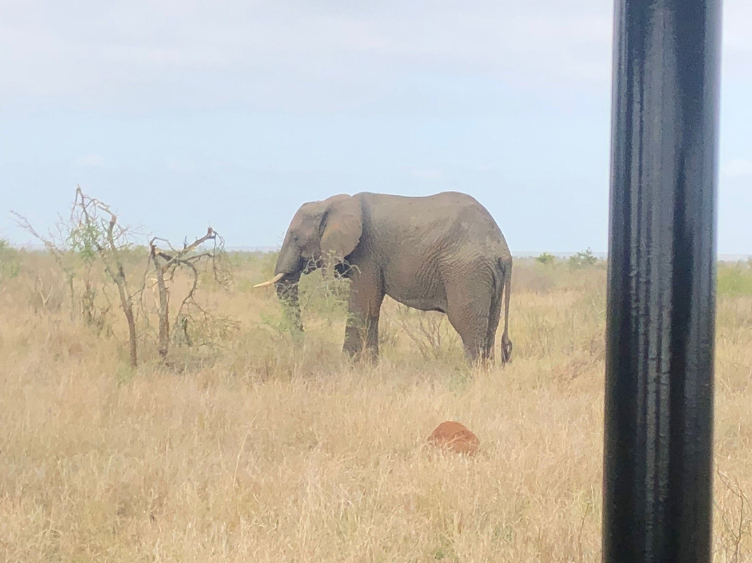 Kruger Africa Safaris景点图片