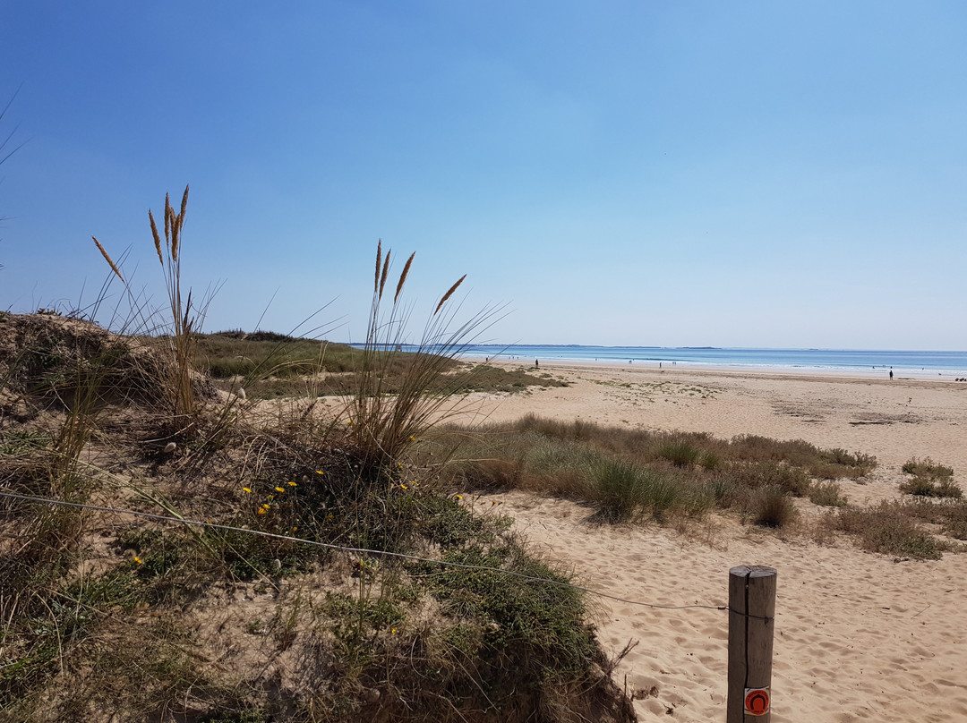 Safran Vacances