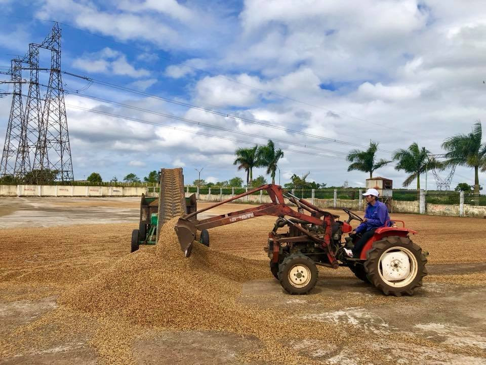 越南咖啡产地 (V'ori咖啡)-托伯莫里必去景点