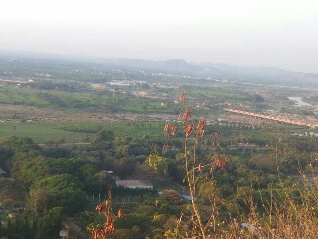 TungaBhadra Dam景点图片
