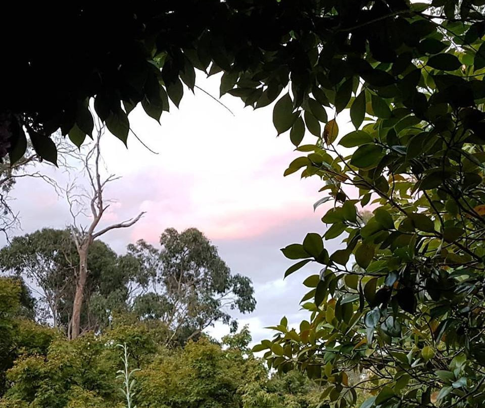 Hollyhock Bed and Breakfast主图