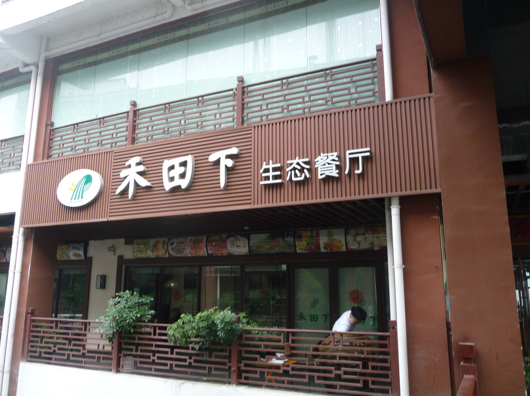 禾田下生态餐厅(华天城店)