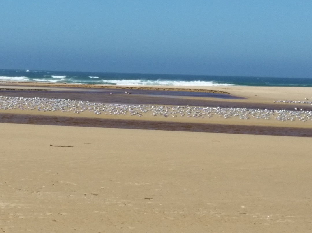 Buffalo Bay旅游景点-Goukamma Marine Protected Area