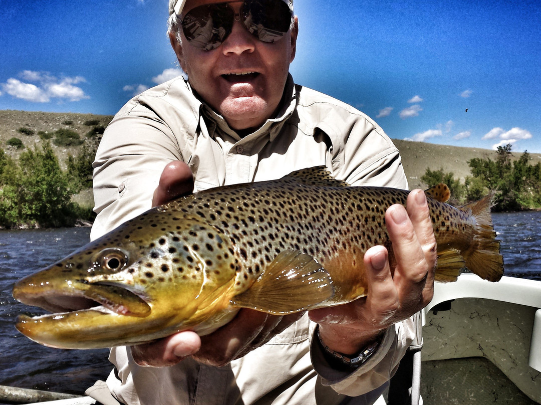 Trout Stalkers - Outfitter & Fly Shop景点图片