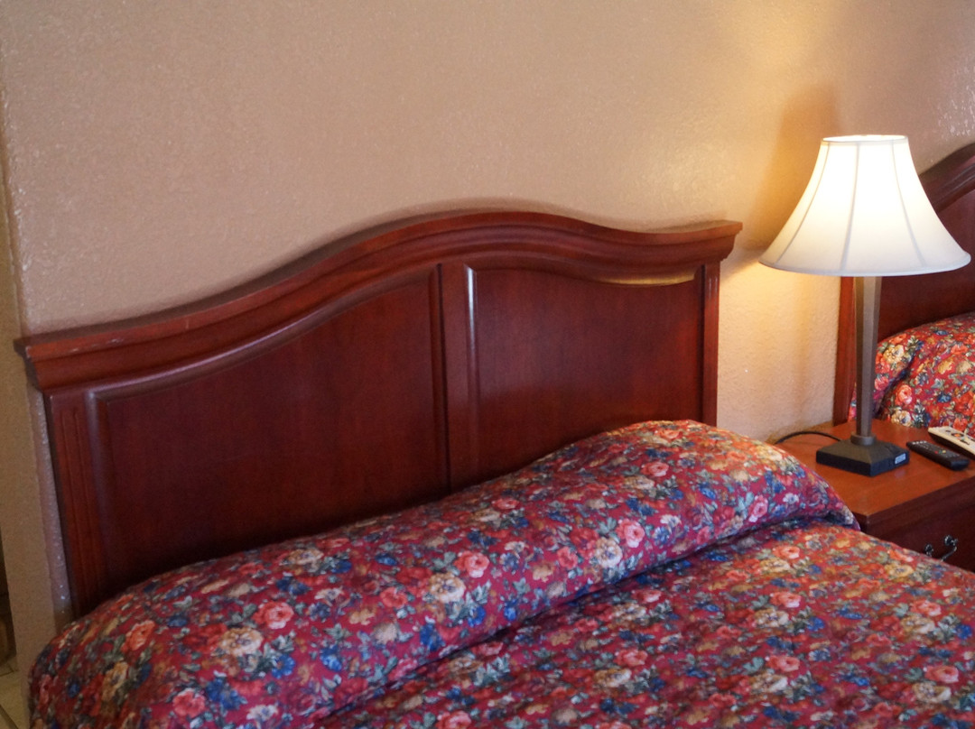 White Mountain Motel主图