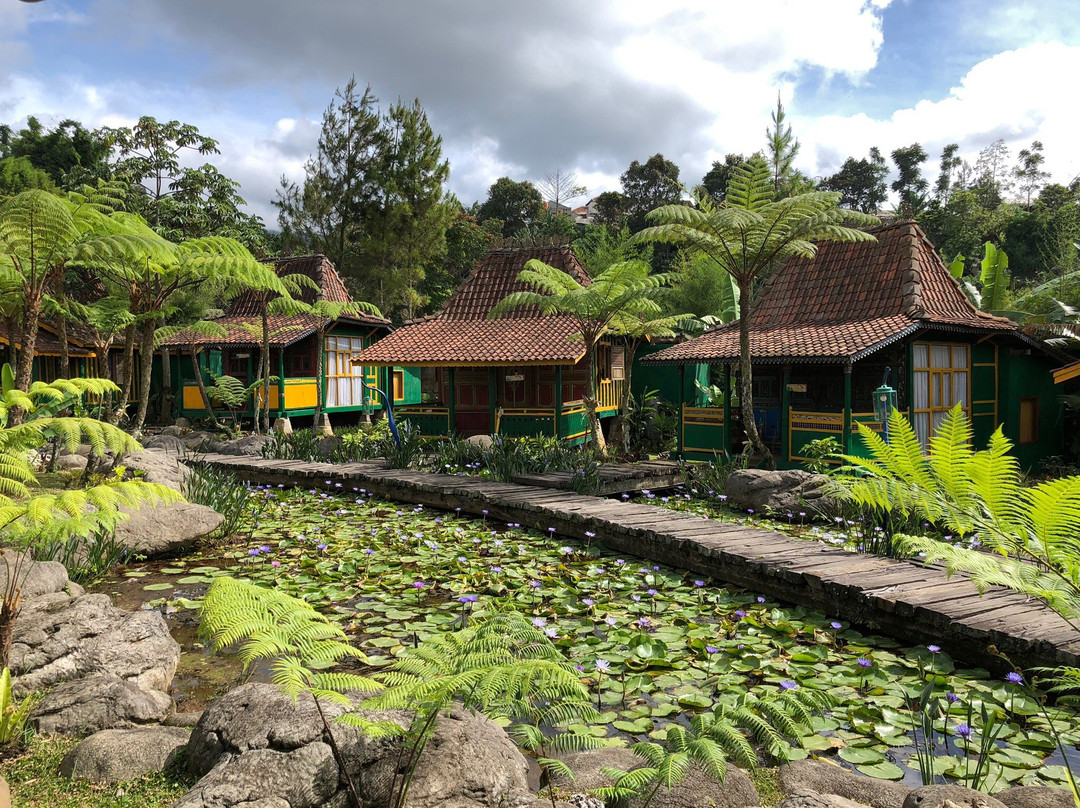 阿达拉普拉度假村及Spa主图