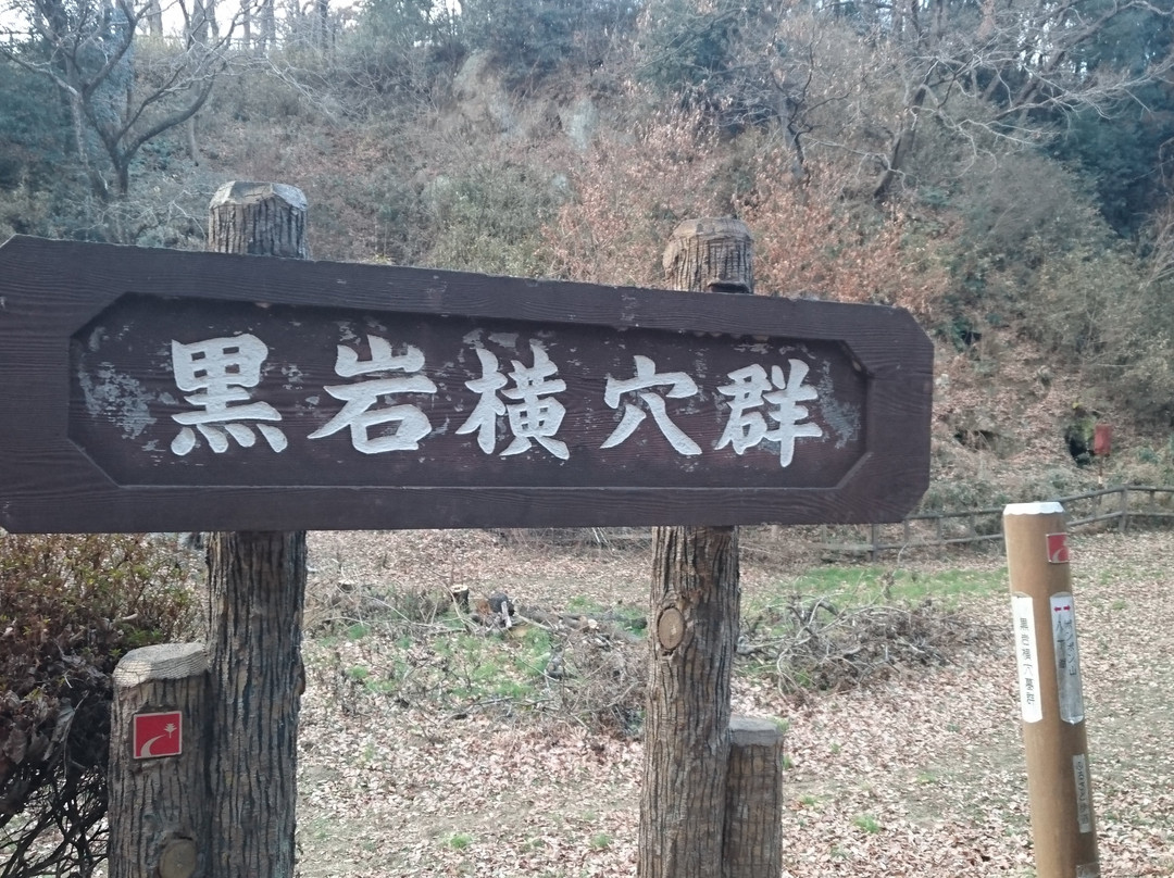 Kuroiwa Yokoanabogun