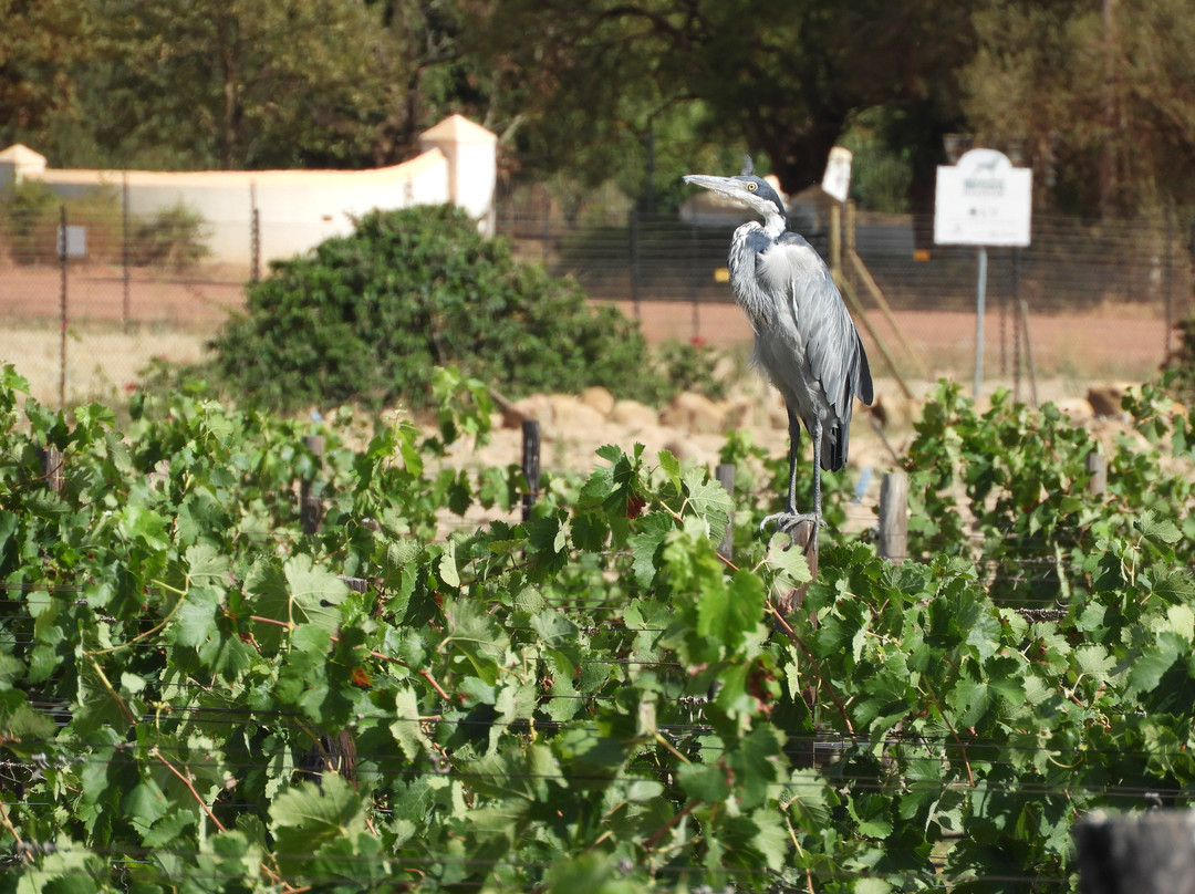 Dunstone Country Estate主图