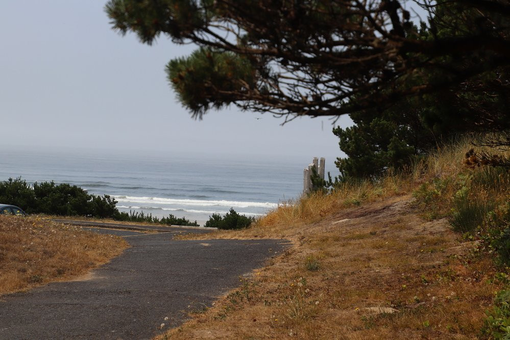 Driftwood Beach State Recreation Site-Seal Rock必去景点