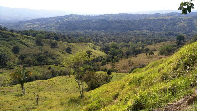 Quebrada La Gamba旅游攻略图片