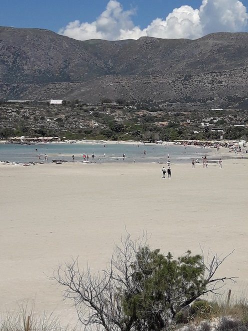 Elafonisi Beach景点图片