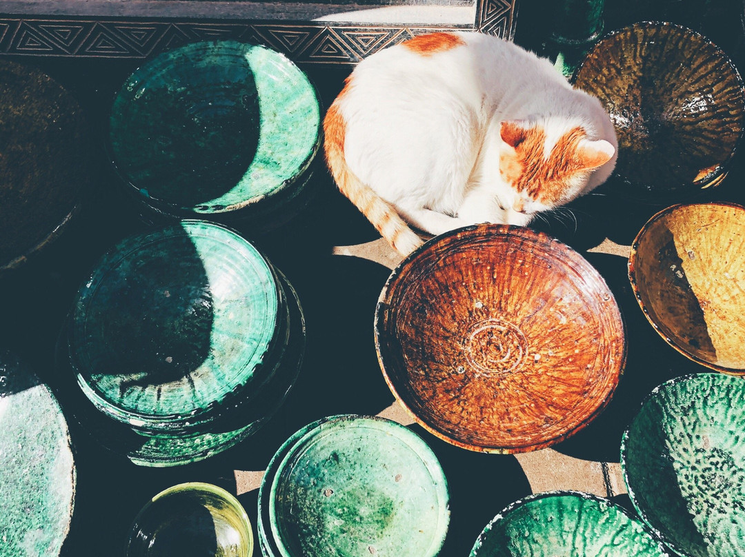 Morocco Guided Travel-非斯必去景点