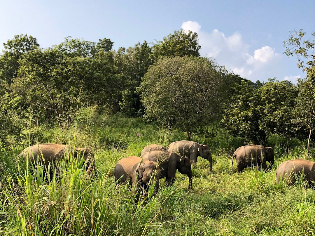 Priyavimana Resort主图