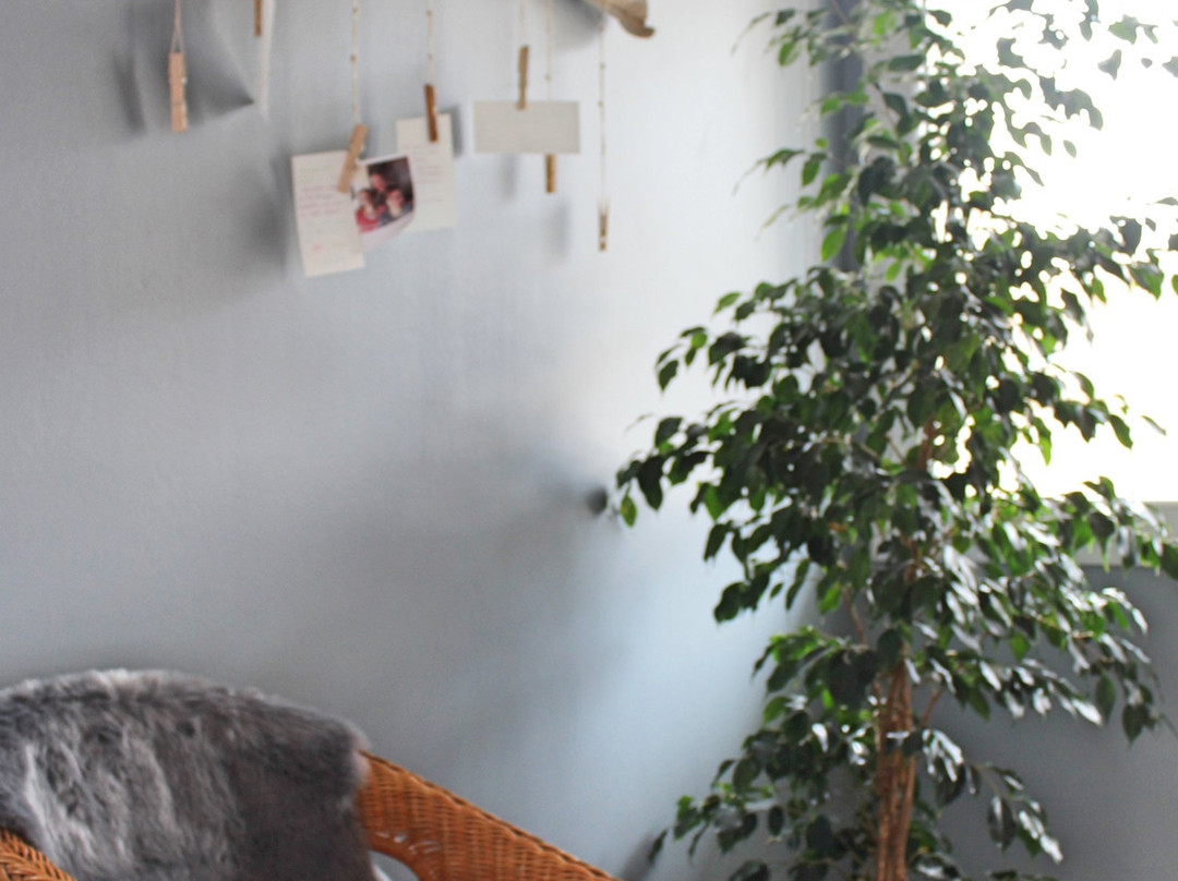 La suite du Off主图