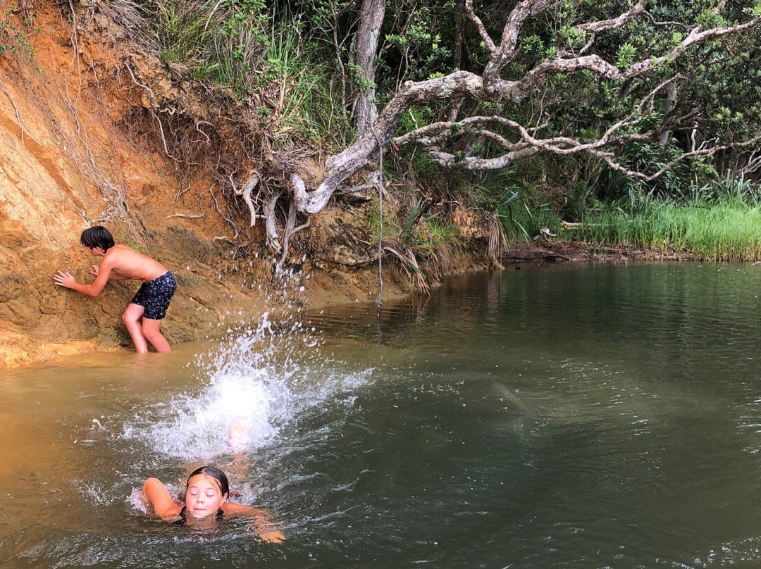 Tawhitokino Regional Park-奥克兰必去景点
