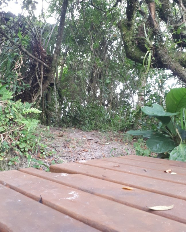 Pousada Santuario da Madre主图