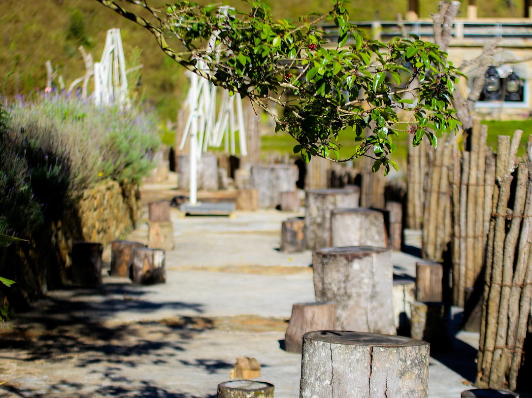 大叻市场-大勒必去景点