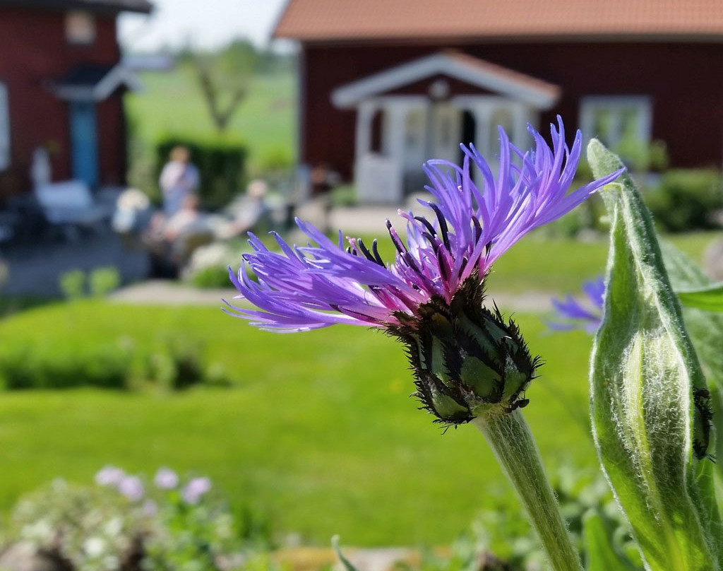 Skarblacka旅游攻略图片