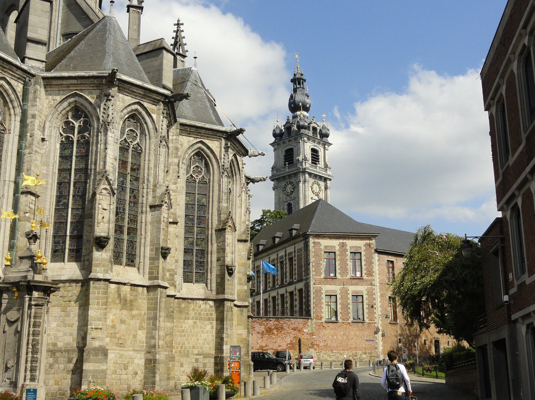 Collégiale Sainte-Waudru景点图片