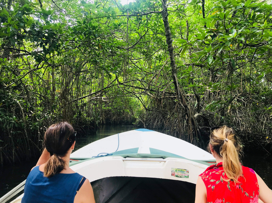 Green Lagoon-加勒必去景点