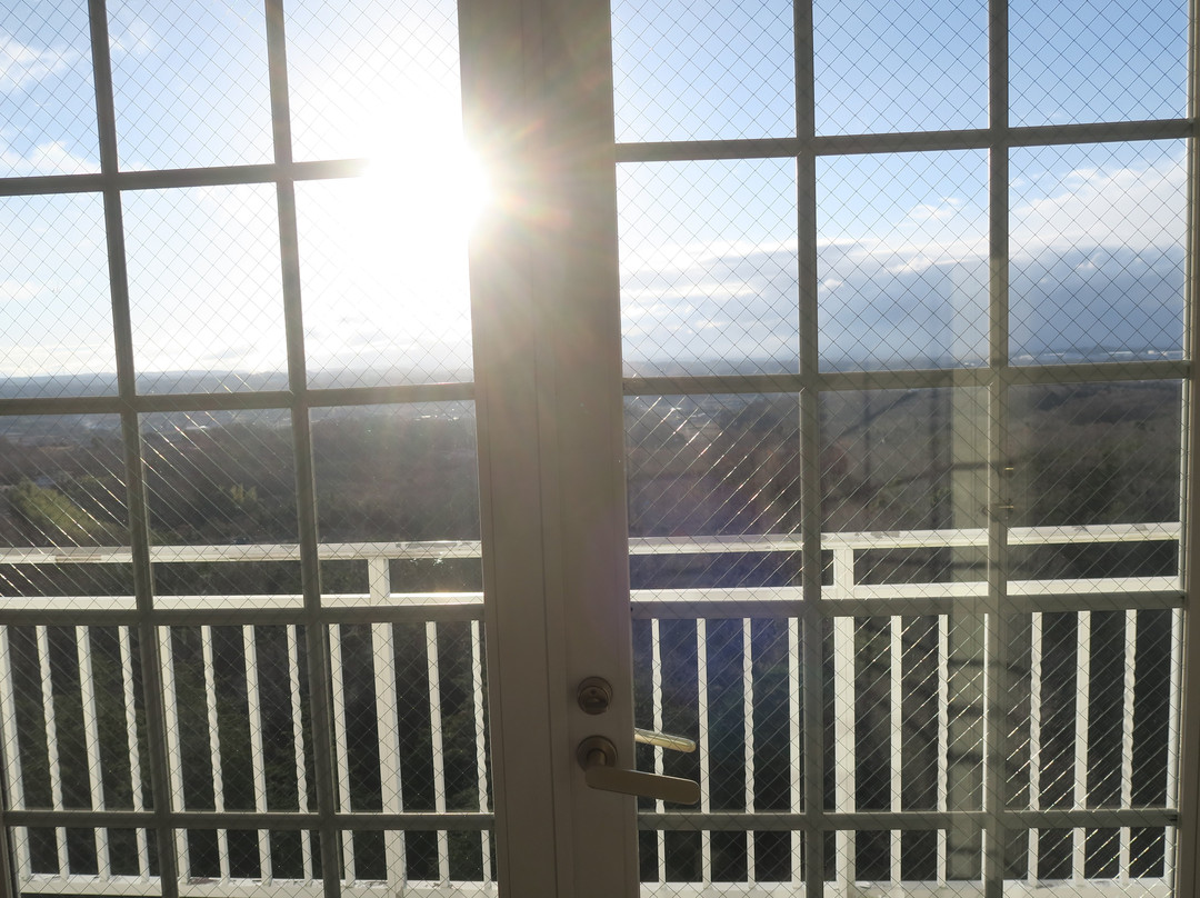 Hotel Green Plaza Tojoko主图