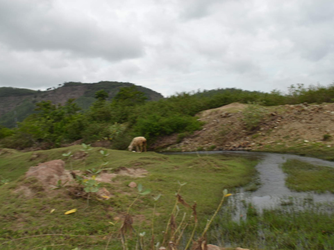 Nui Chua National Park景点图片