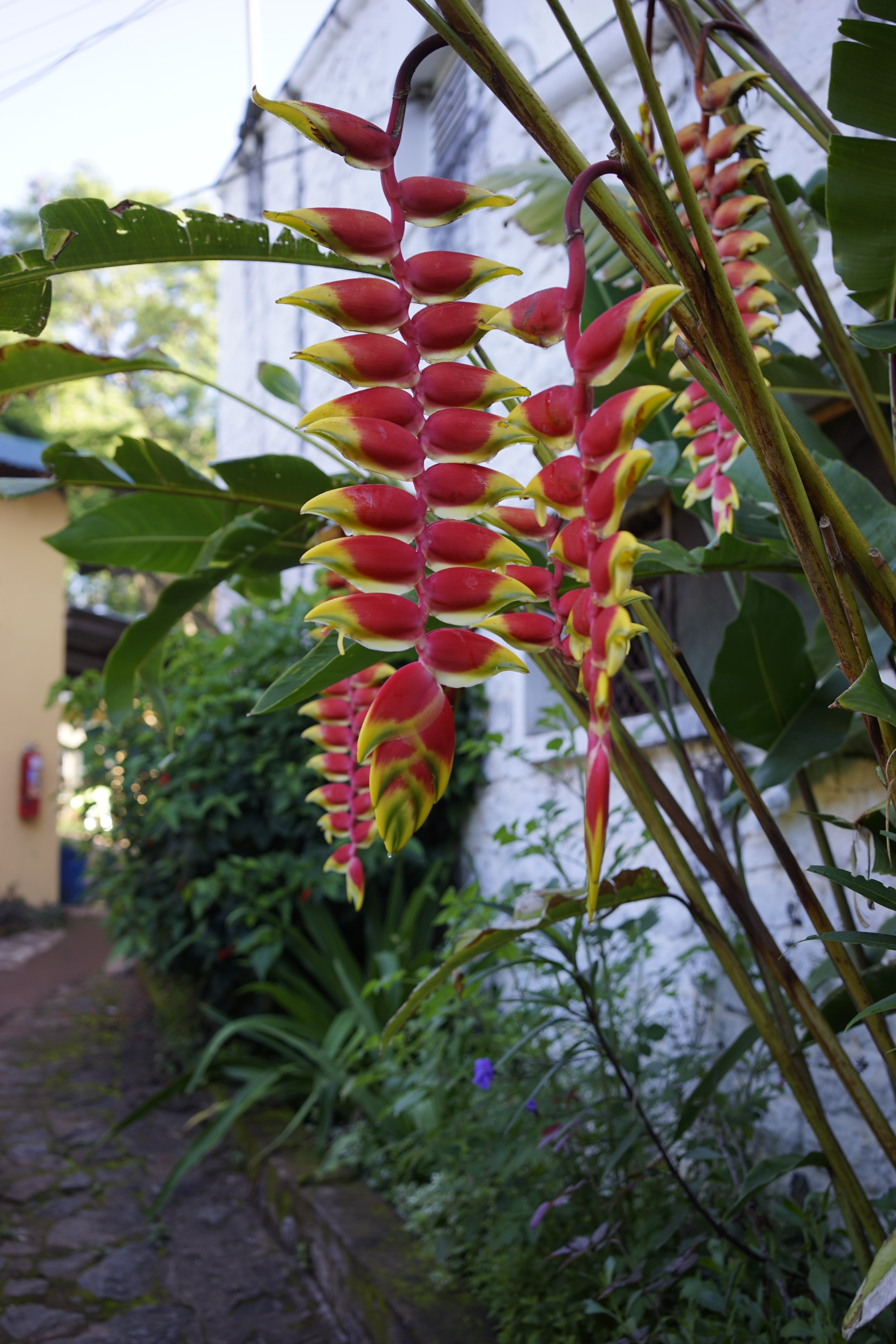Lawns Hotel Lushoto-portrait