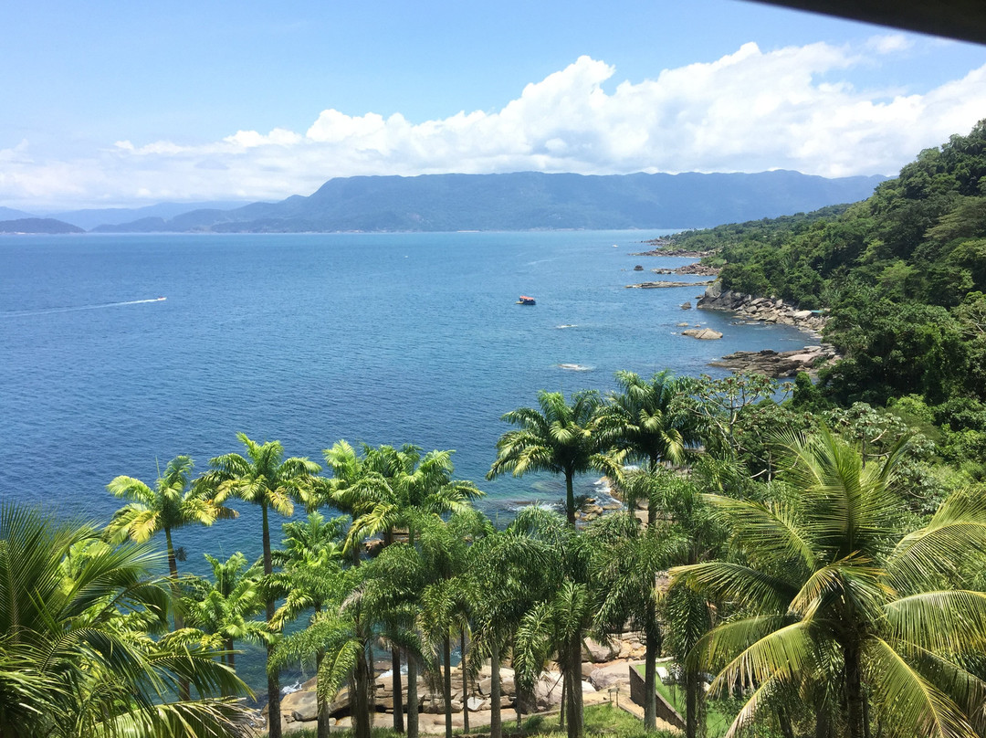 Solar Singuitta主图